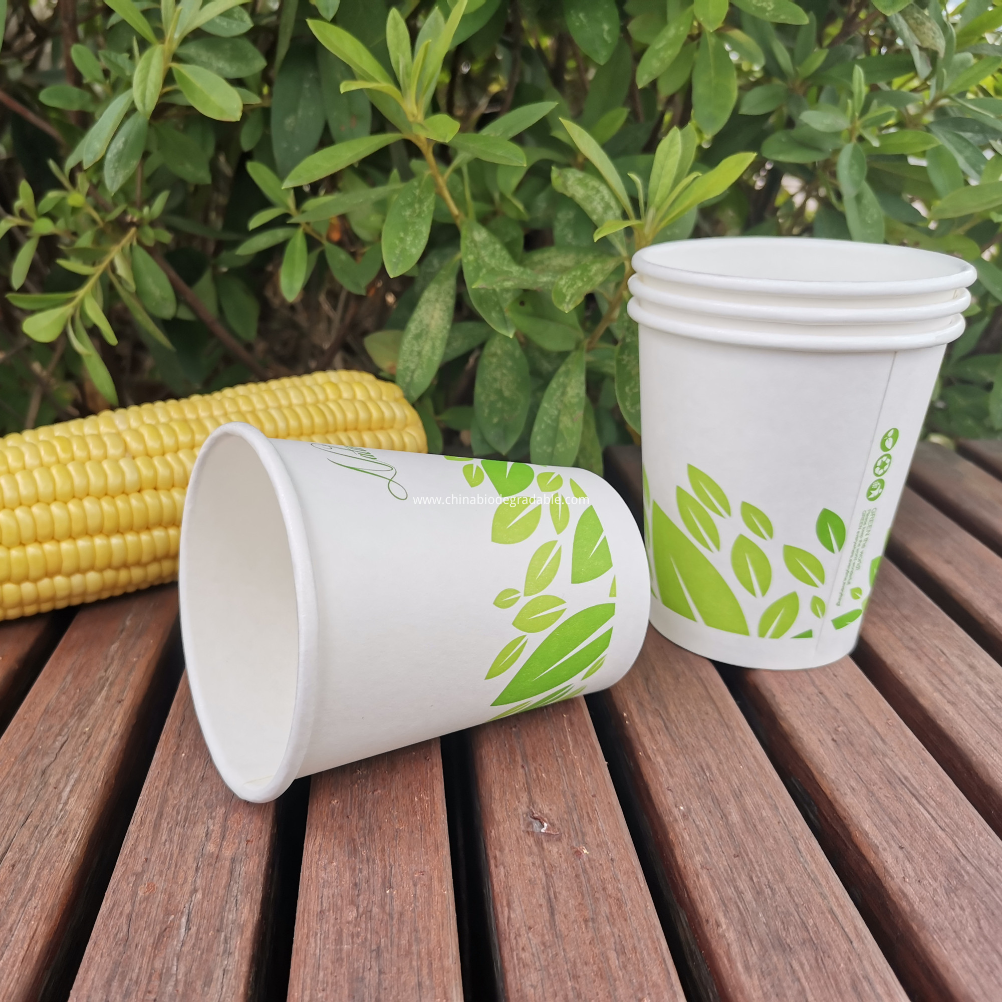 Compostable Paper Cups