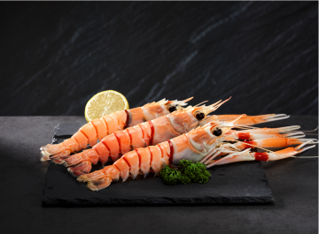 Frozen New Zealand Scampi