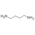 1,4- 디아 미노 부탄 CAS 110-60-1