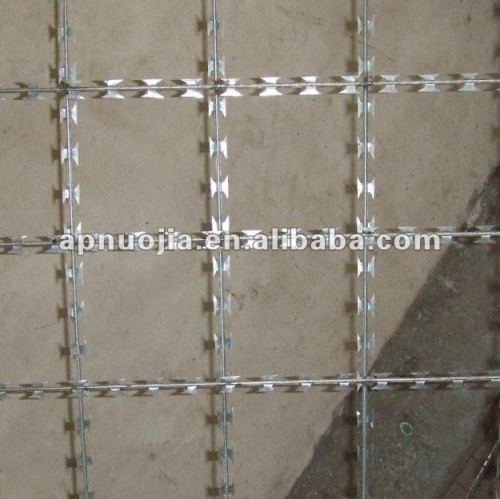 Welded Razor Barbed Wire Fence ( Factory)