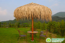 Palm Leaf Thatch Umbrella (Fixed Steel Frame)
