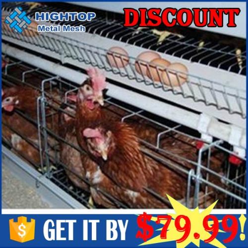 Hot sale poultry farm structure for laying hens