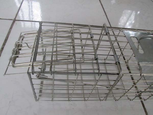 galvanized wire mesh metal mouse rat animal trap cage