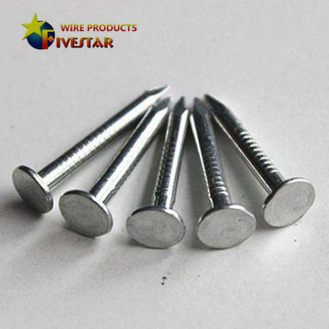 Galvanized clout nails/Roofing nails