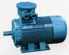 YBK2 series Motor