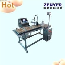 specialized egg coding equipment