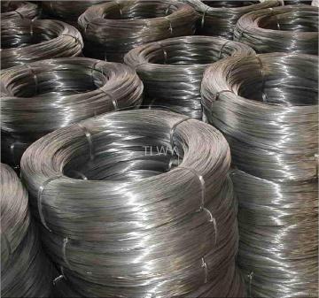 Q195 galvanized wire cage for breeding poplar