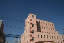 Wheat gluten for bread