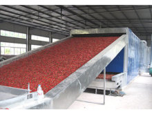 Vegetable and Fruit Drier