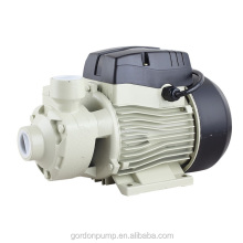 QB-L Vortex Water Pump: Low Price Water Peripheral Pump