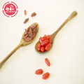 Nutrisi tinggi Cina Herb Rendah Goji Berries pestisida