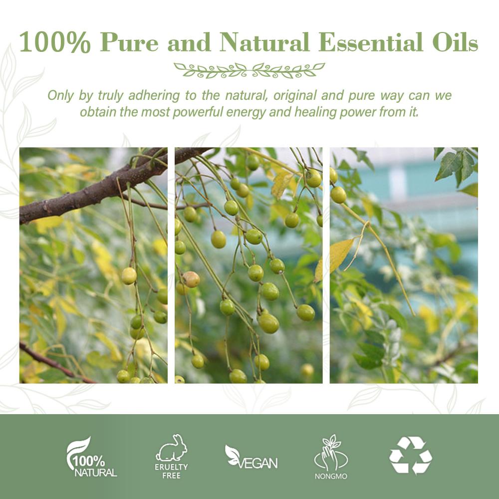 Neem Oil 100% Pure and Natural for Food Cosmetic High Quality