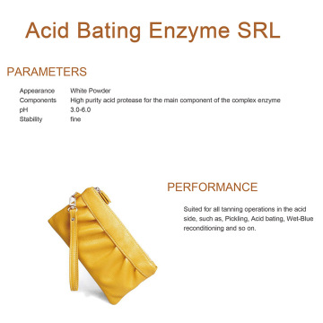 Acid Bating enzyme in leather industries SRL