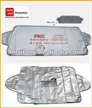 car snow shade