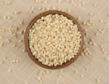 Sorghum And Rice