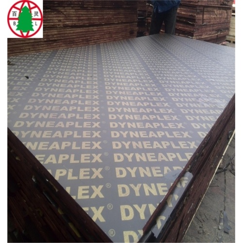 13 ply formwork plywood structural plywood