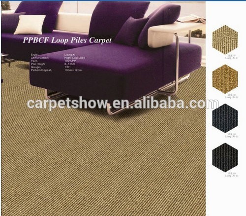 Modern pattern wall to wall carpet