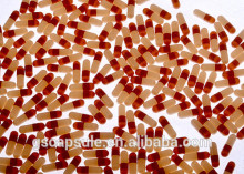 gelatin empty hard capsule