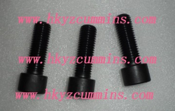 chongqing CCEC 206028 screw hexagon head cap KTA19