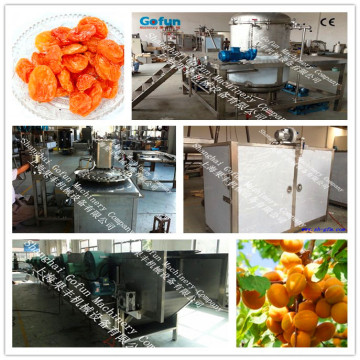 dryer apricot production line manufactured in shanghai gofun