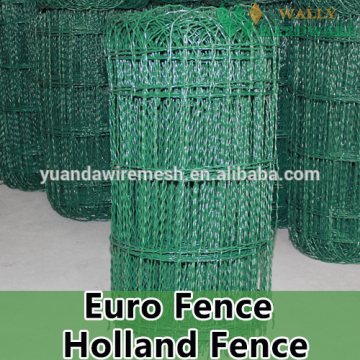 PVC Green Color RAL6005 Euro Fence Garden Fence