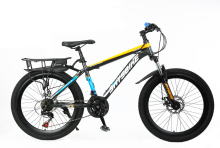 TW-55-1 Provides STEEL Bicycle