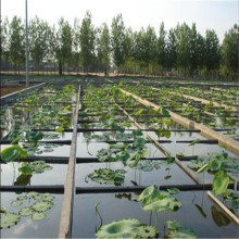 1mm HDPE Geomembrane Sheet for Agriculture Ponds