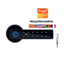 Biometric Digital Home Handle Fingprint Indoor Door Lock