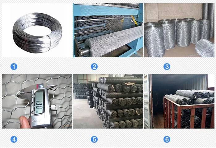 hexagonal wire mesh, chicken wire for bird cage, poultry wire chicken wire