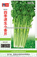 Chinese Celery Seed For Growing-Four Season Fast Growing Small Fragrant Celery