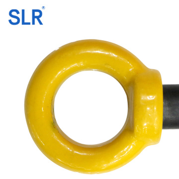 G80 Clevis Slip Hook With Latch Cast