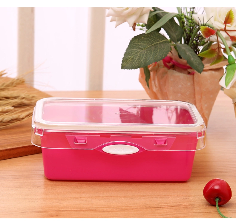 High Quality Kids Plastic Lunch Boxes Double Layer Bento Box