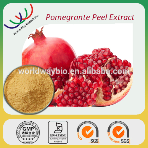 Free sample high quality anti-oxidant ingredient 40% ellagic acid extract pomegranate peel extract pomegranate peel powder