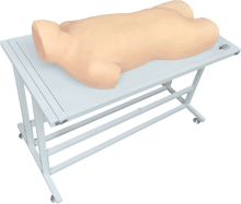 Liver Abscess and Thorax Puncture Model