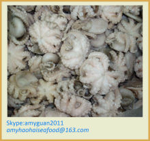 Frozen Octopus whole round flower shape IQF
