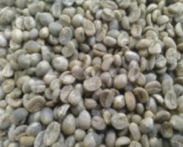 High Quality Food Grade Green Coffee Bean