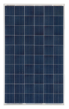 245W 156*156 Poly -Crystalline Solar Module