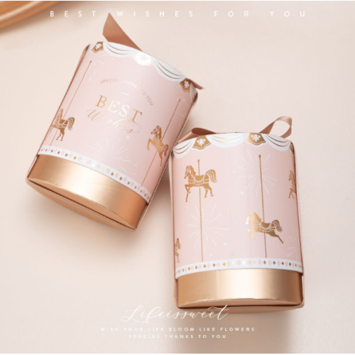 Lid and base pink cylinder packaging gift box