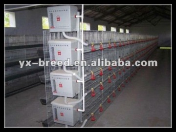 Broiler poultry farming equipments