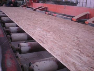 cheap price osb board /osb factory
