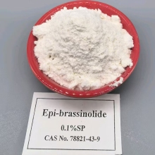 Epi-brassinolide Boosting Crop Yield in Southeast Asia