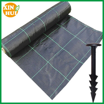 export quality agriculture weed control ground cover