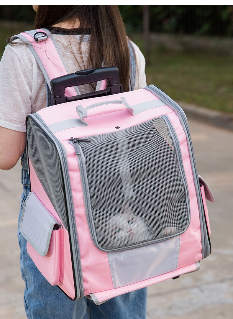 Pet Travel Carrier