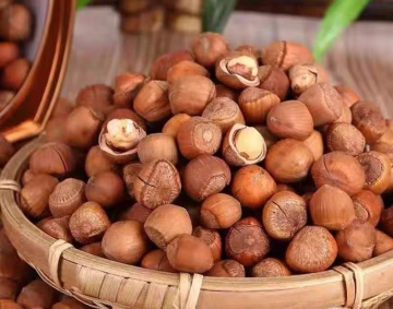 Wild Natural Flavor Hazelnut