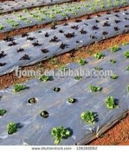 Perforated agriculture plastic mulching paper