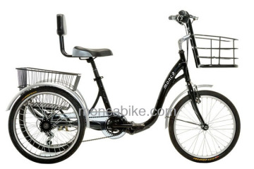 E Tricycle for Fun Shopping