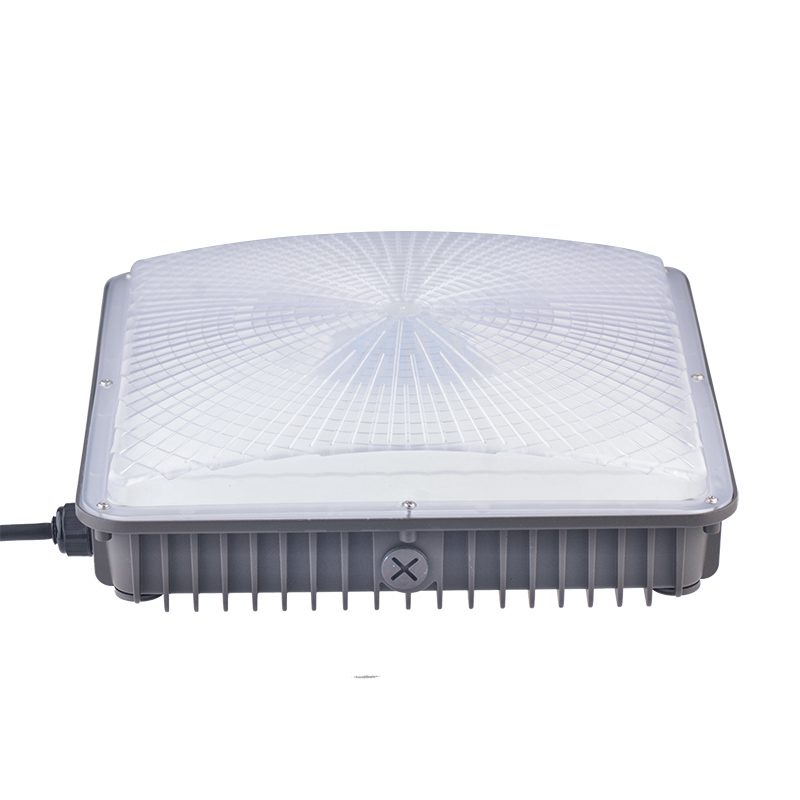 canopy led light fixtures