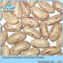 200-220Pcs LSKB Long Shape