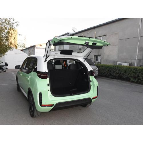 Pure EV D1 Electric Vehicle Car para sa BYD