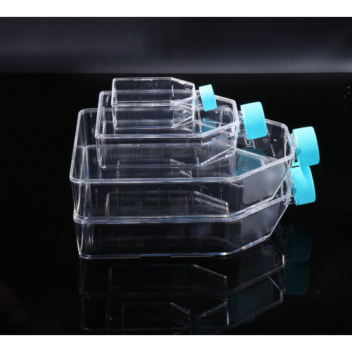 T25 cell culture flasks for adherent cells